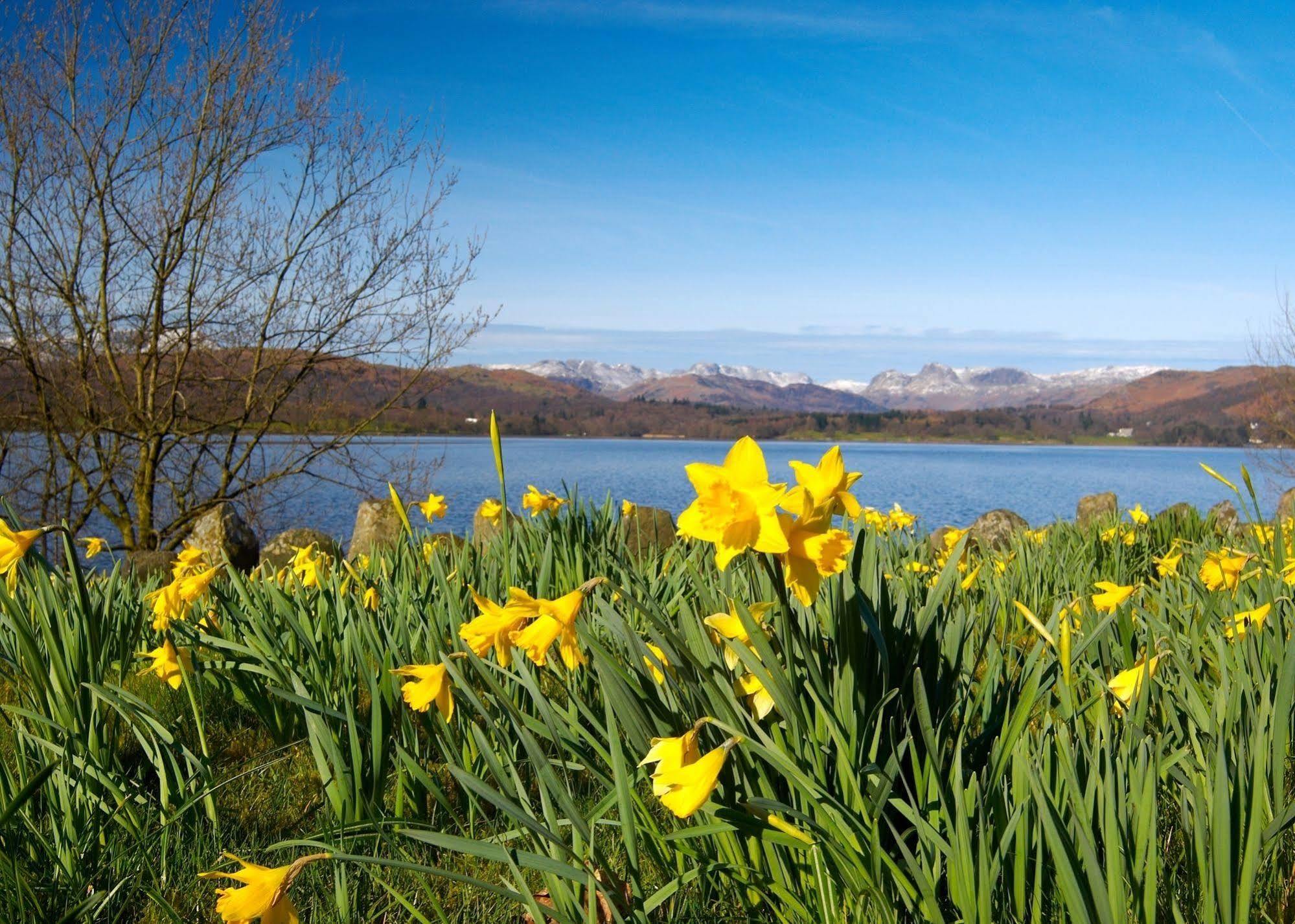 May Cottage B&B Bowness-on-Windermere Dış mekan fotoğraf