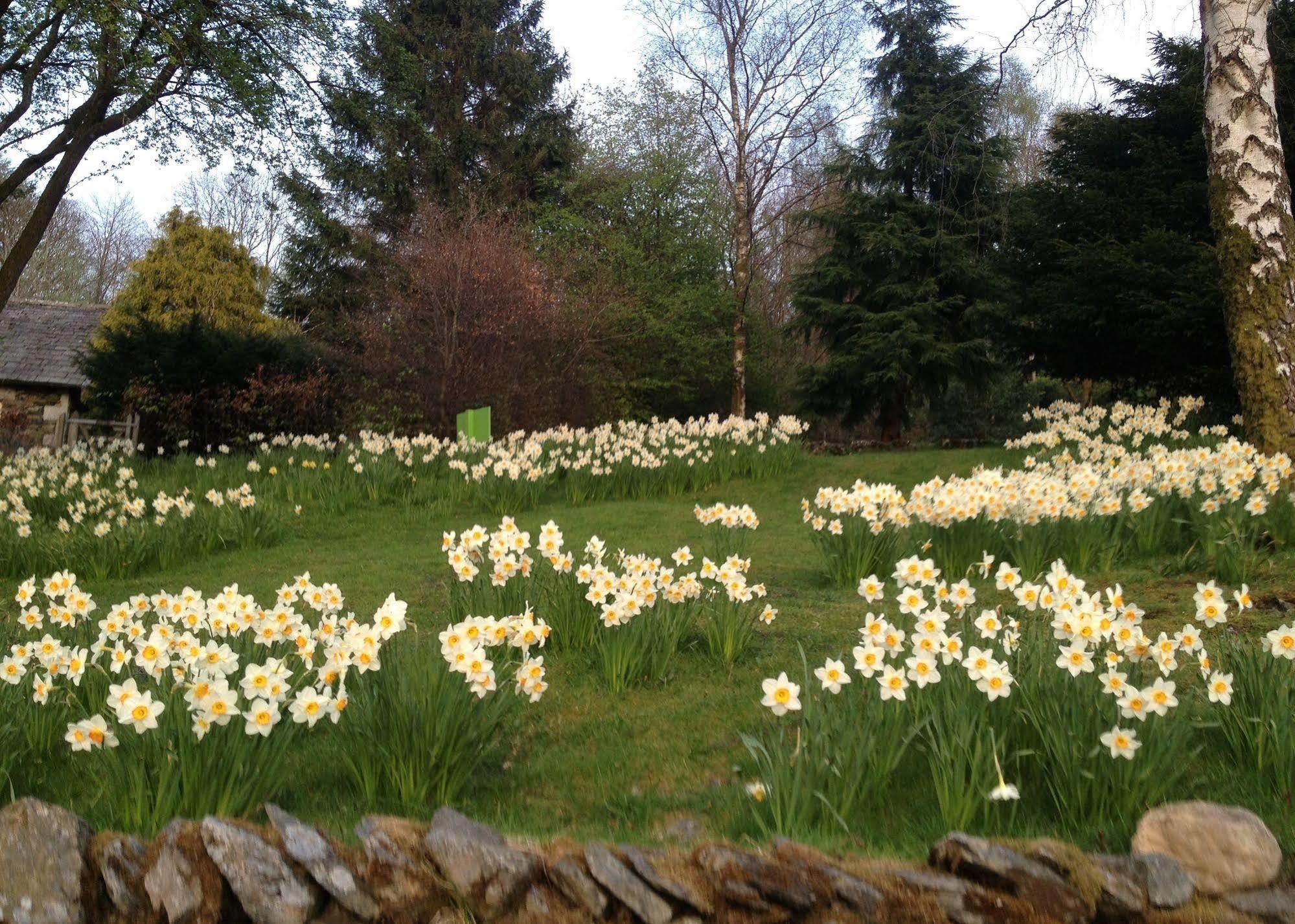 May Cottage B&B Bowness-on-Windermere Dış mekan fotoğraf